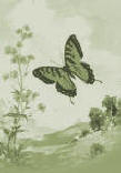 Click here to bookmark MarciaKester.com
